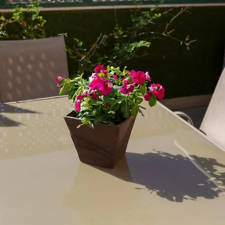 Amazing Rooftop, 70 M Terrace,pool,beach,parking 아파트