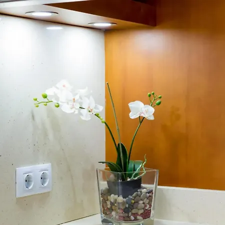 Amazing Rooftop, 70 M Terrace,pool,beach,parking * 말라가