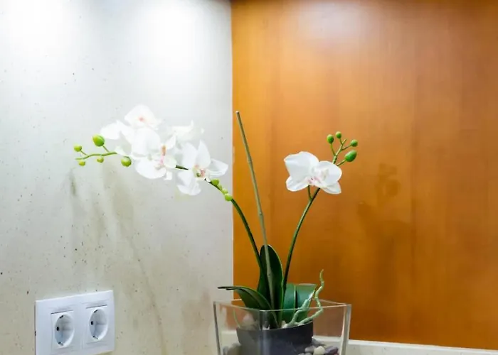 Amazing Rooftop, 70 M Terrace,pool,beach,parking * Málaga